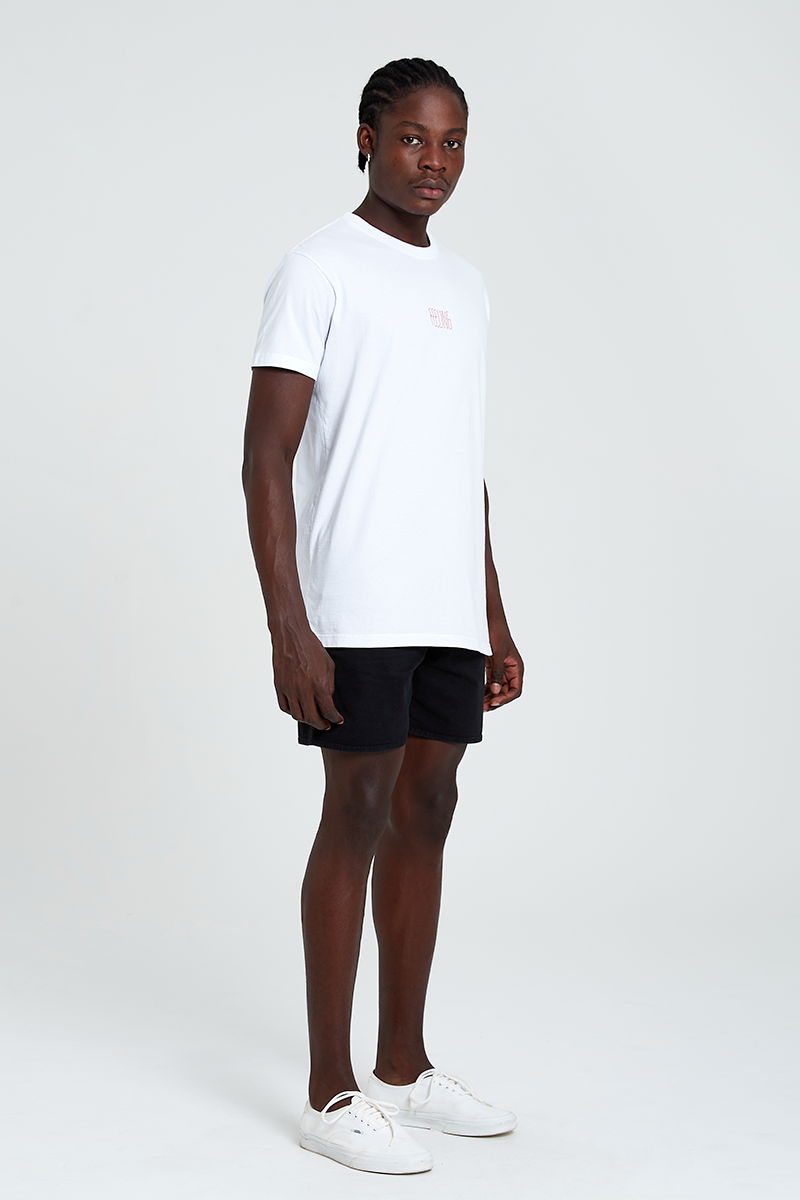 feelbc fotointeira site