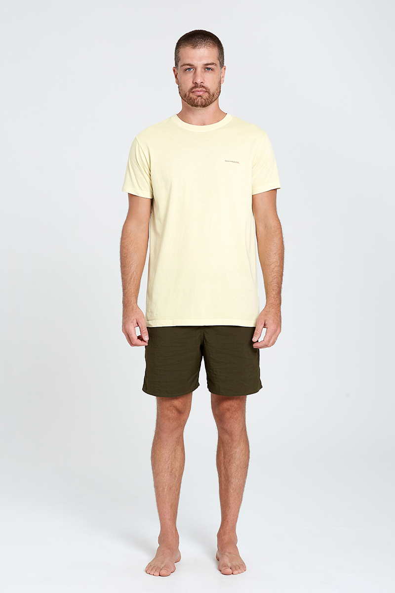 poliamidaverde corpointeiro