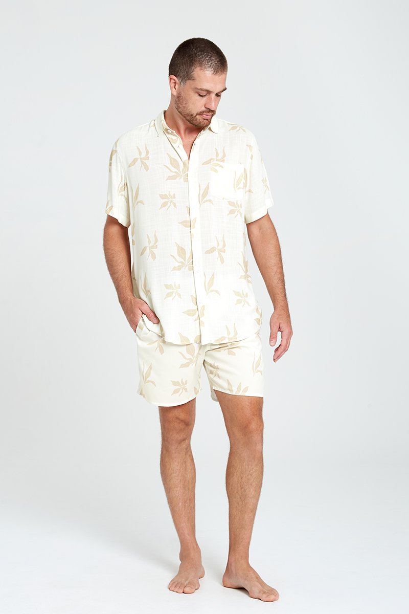 camisaalgascreme corpointeiro