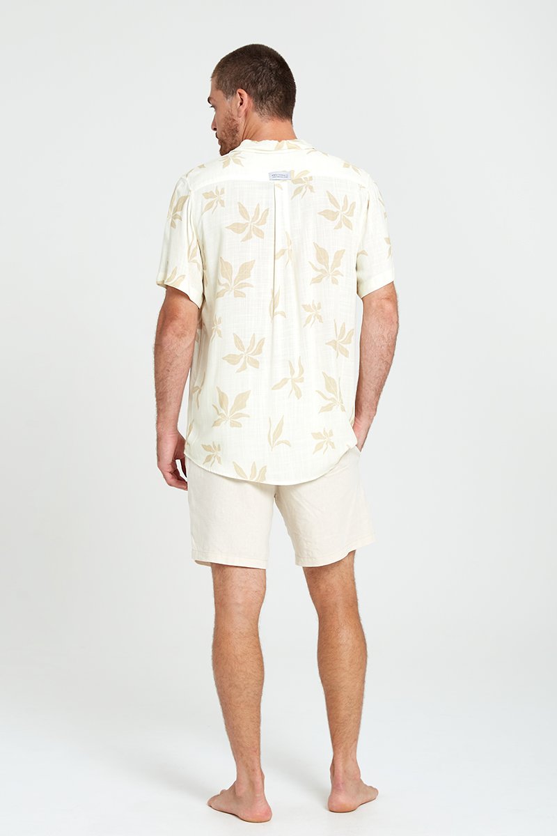 camisaalgascreme costas