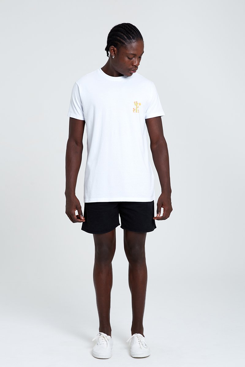 camisetacactus corpotodo